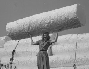 Istoria polistirenului